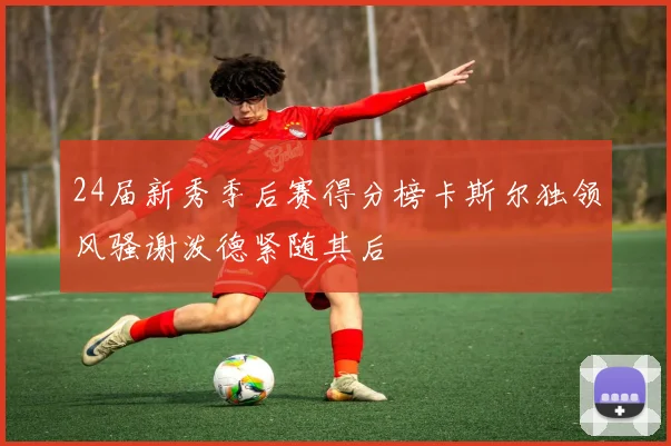 24届新秀季后赛得分榜卡斯尔独领风骚谢泼德紧随其后
